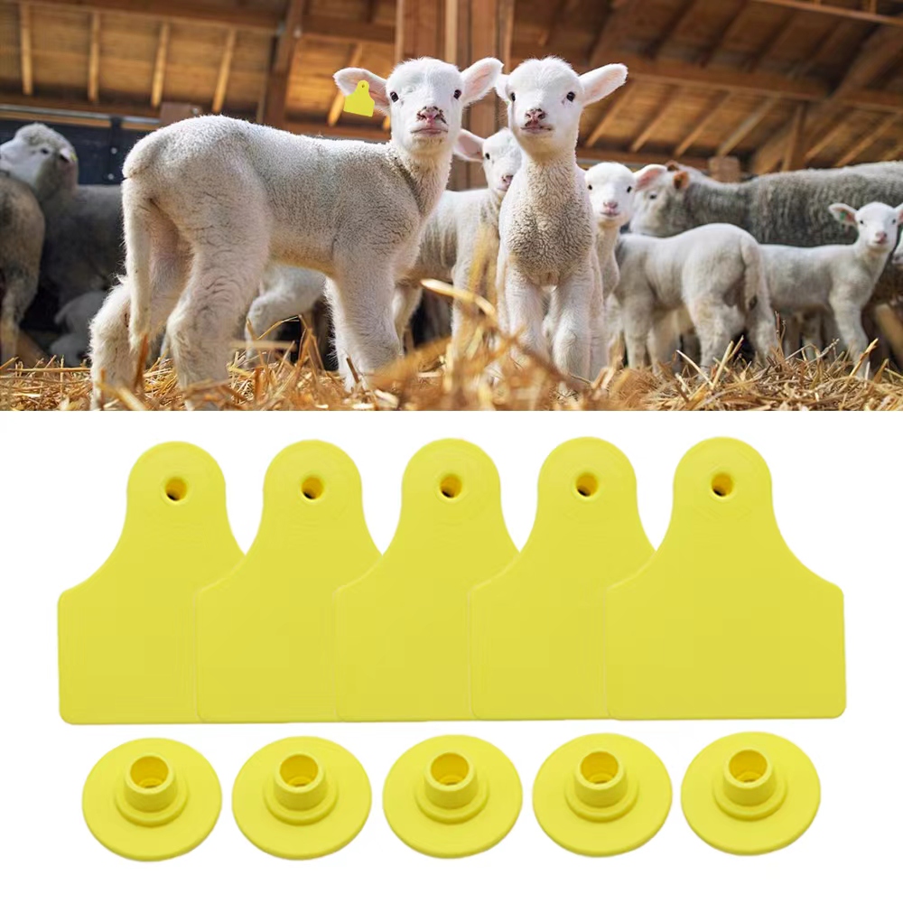Livestock Ear Tag - 20 stuks 40*50mm Geiten Schapen Rundvee