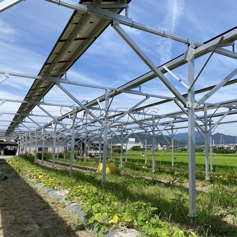 Agriculture Farming In Japan - Japan's nieuwe landbouw aluminium zonnepaneelmontagebeugels zonneboerderijmontagesysteem