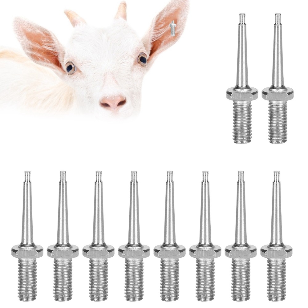 10 stuks praktische roestvrijs - Livestock Ear Tag recensie en prijs