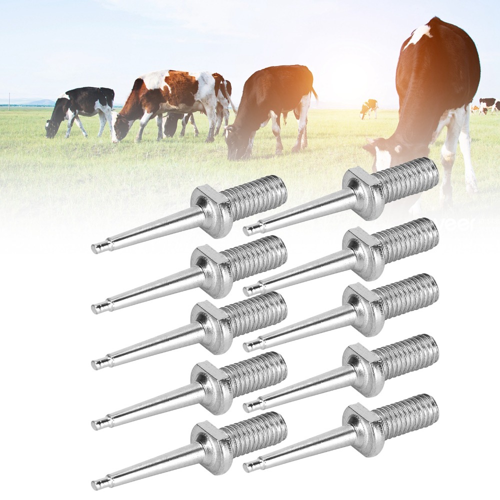 10 stuks praktische roestvrijs - Livestock Ear Tag recensie en prijs