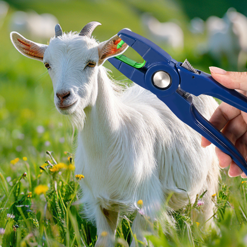 100 stks Geïntegreerde Schapen - Livestock Ear Tag recensie en prijs