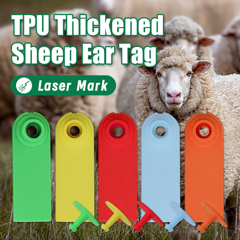 100 Stuks Schapen Geit Oormerk - Livestock Ear Tag recensie en prijs