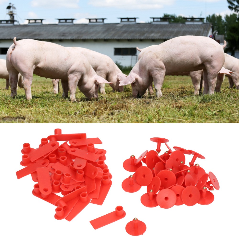 100 Stuks Handgeschreven Lege  - Livestock Ear Tag recensie en prijs
