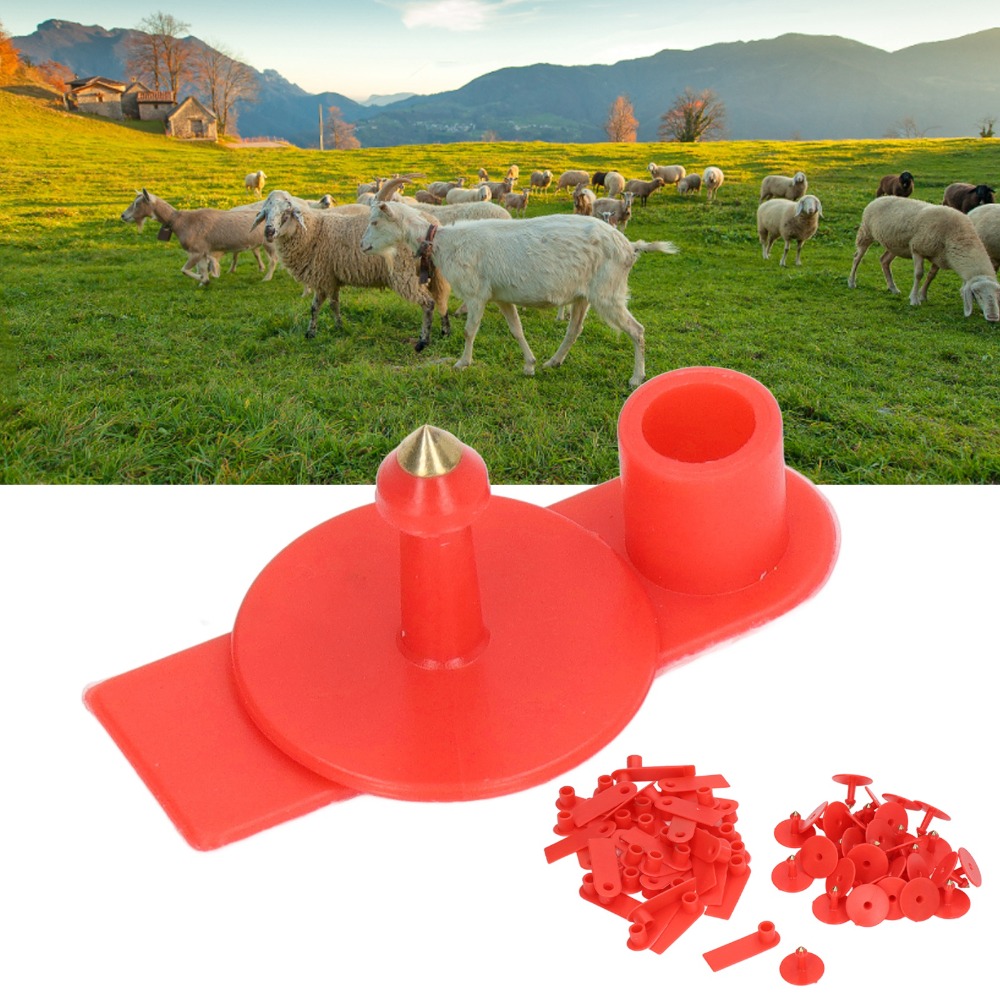 100 Stuks Handgeschreven Lege  - Livestock Ear Tag recensie en prijs